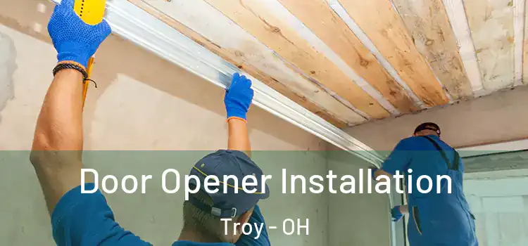  Door Opener Installation Troy - OH
