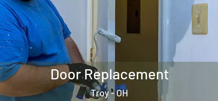 Door Replacement Troy - OH