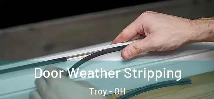 Door Weather Stripping Troy - OH