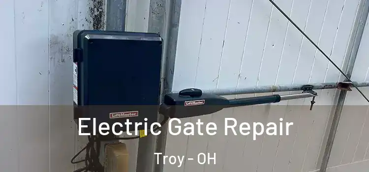 Electric Gate Repair Troy - OH