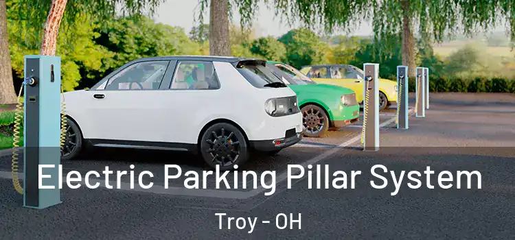 Electric Parking Pillar System Troy - OH