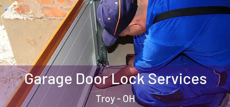 Garage Door Lock Services Troy - OH