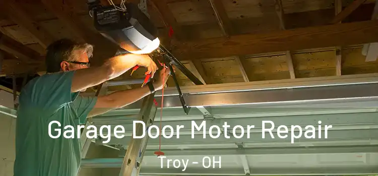  Garage Door Motor Repair Troy - OH