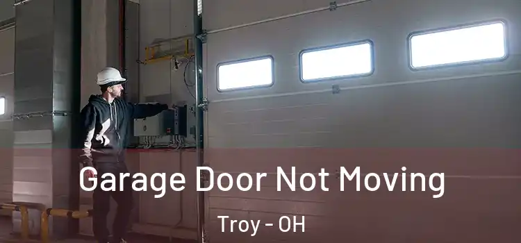  Garage Door Not Moving Troy - OH