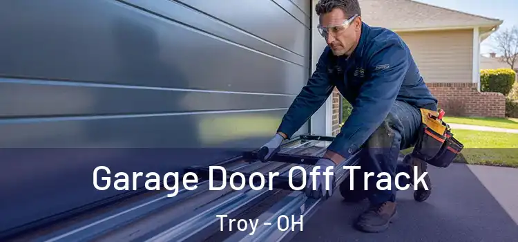  Garage Door Off Track Troy - OH