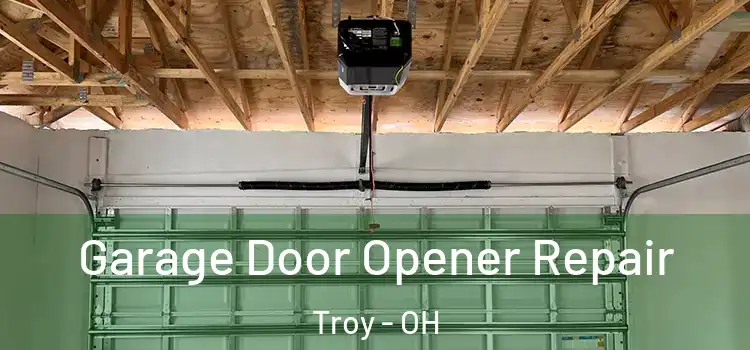  Garage Door Opener Repair Troy - OH