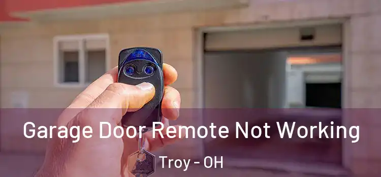  Garage Door Remote Not Working Troy - OH