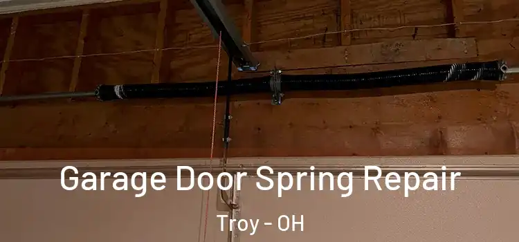  Garage Door Spring Repair Troy - OH