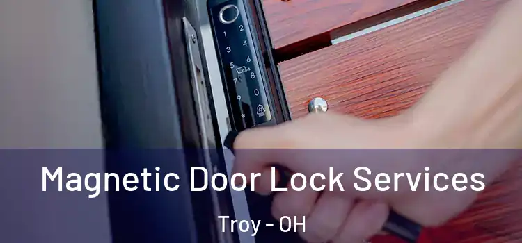 Magnetic Door Lock Services Troy - OH
