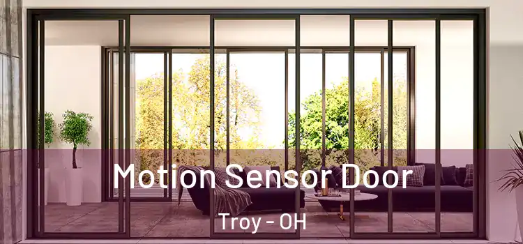 Motion Sensor Door Troy - OH