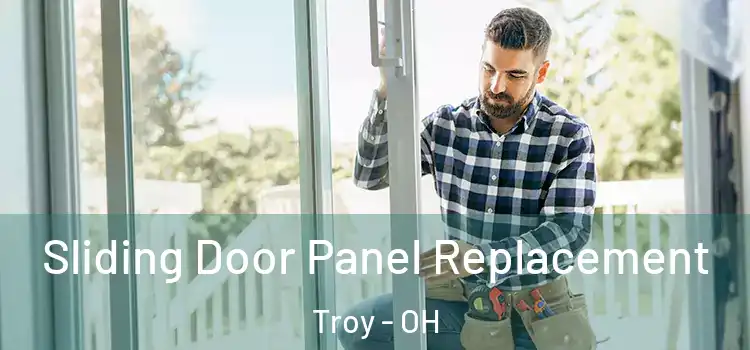  Sliding Door Panel Replacement Troy - OH