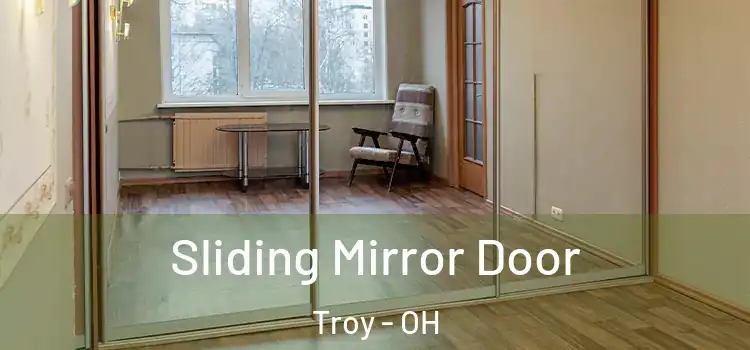  Sliding Mirror Door Troy - OH