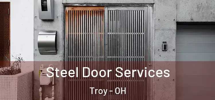  Steel Door Services Troy - OH