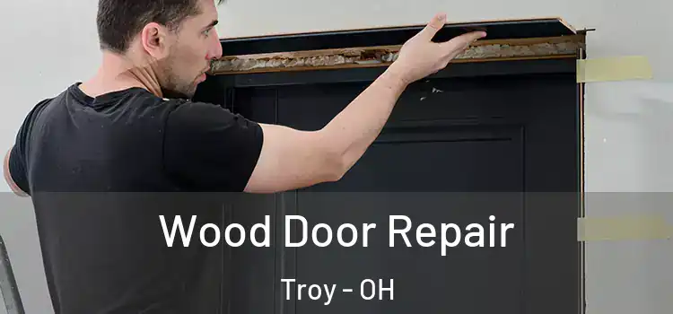  Wood Door Repair Troy - OH